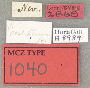 Media type: image;   Entomology 1040 Aspect: labels